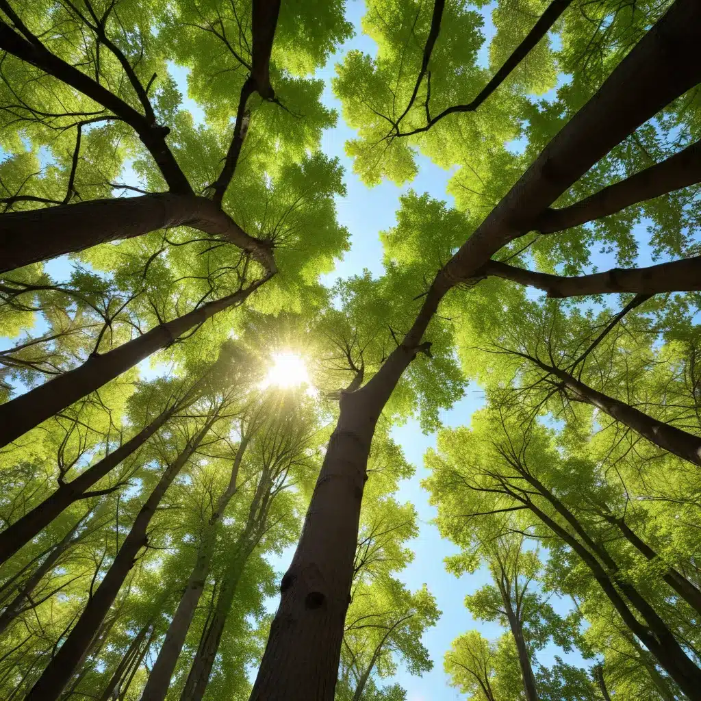 Fostering a Thriving Urban Forest: Collaborative Efforts for Tree Stewardship