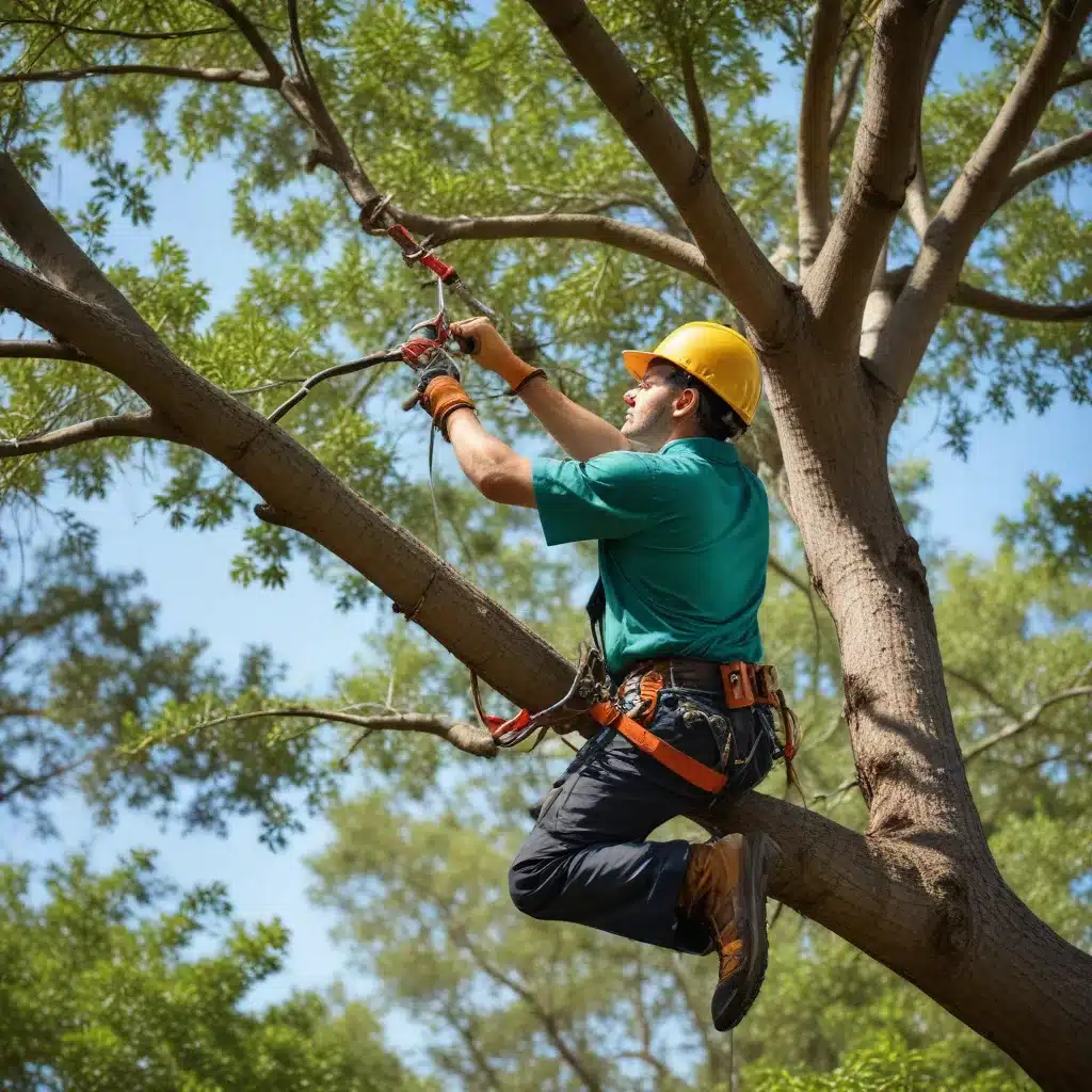 Mastering the Art of Proper Tree Pruning Techniques for Florida Landscapes