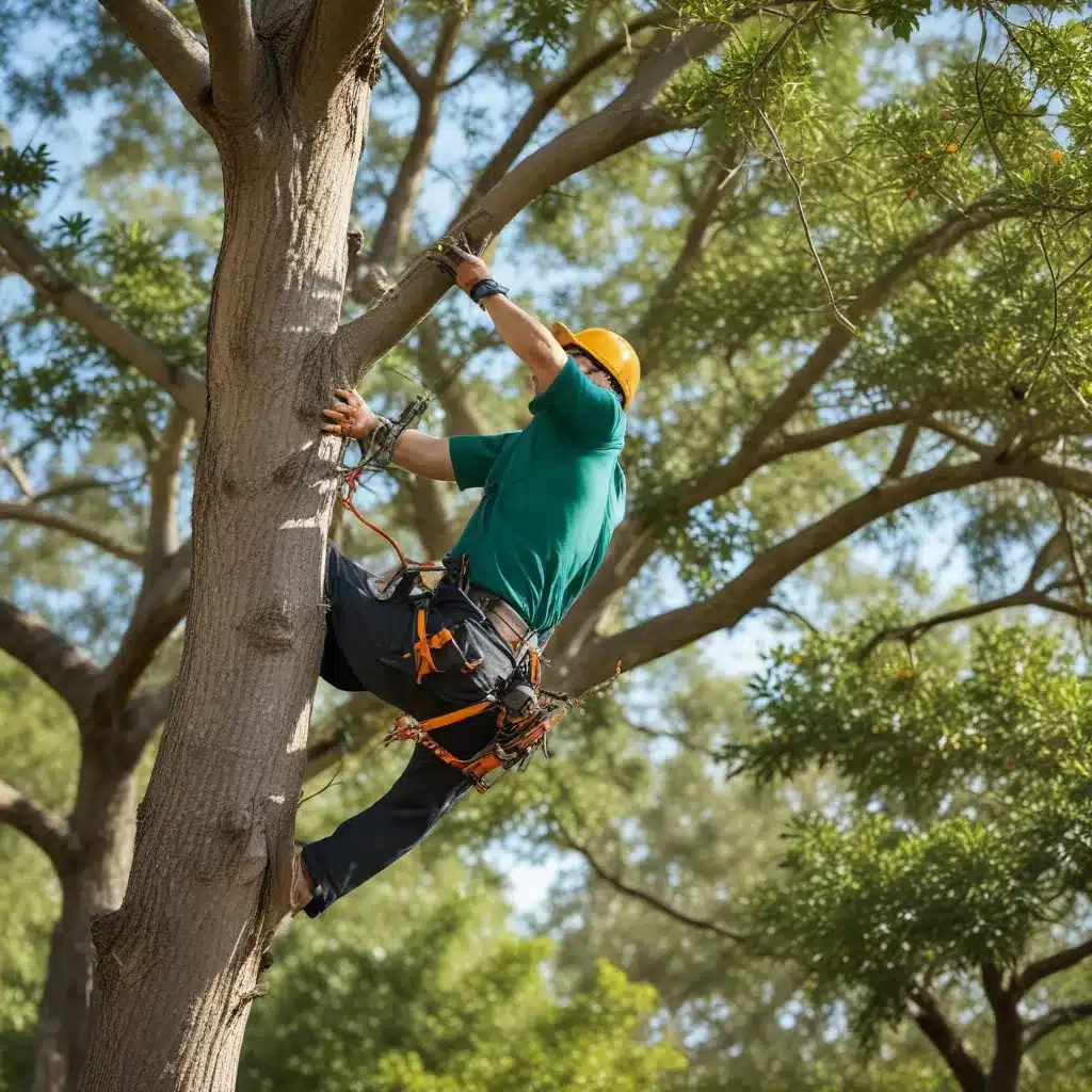Mastering the Art of Proper Tree Pruning for Florida Landscapes