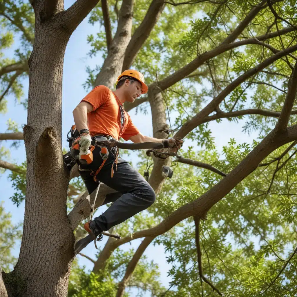 Navigating the Complexities of Tree Trimming: Best Practices for Florida Homeowners