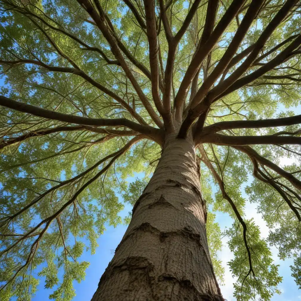 Nurturing Nature’s Canopy: Tips for Sustainable Tree Care in Florida
