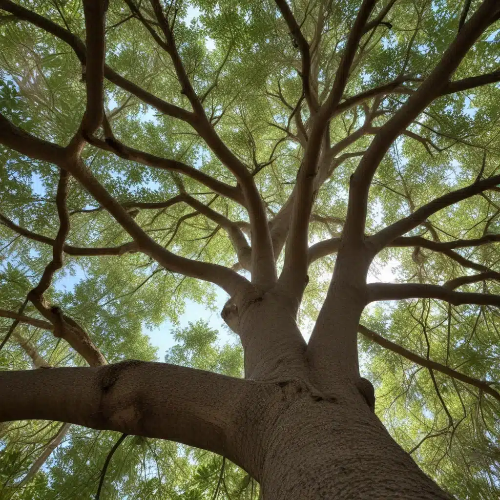 Nurturing Nature’s Gifts: Exploring the Therapeutic Benefits of Trees in Florida