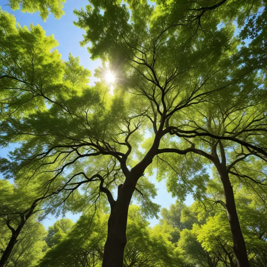 Optimizing Tree Canopy: Strategies to Enhance Shade, Cooling, and Energy Efficiency