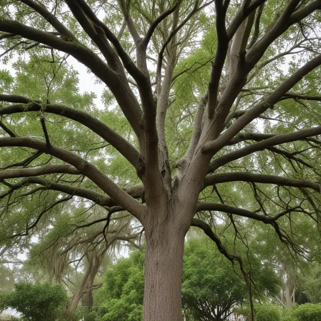 Preparing Your Trees for Hurricane Season: Essential Pre-Storm Measures