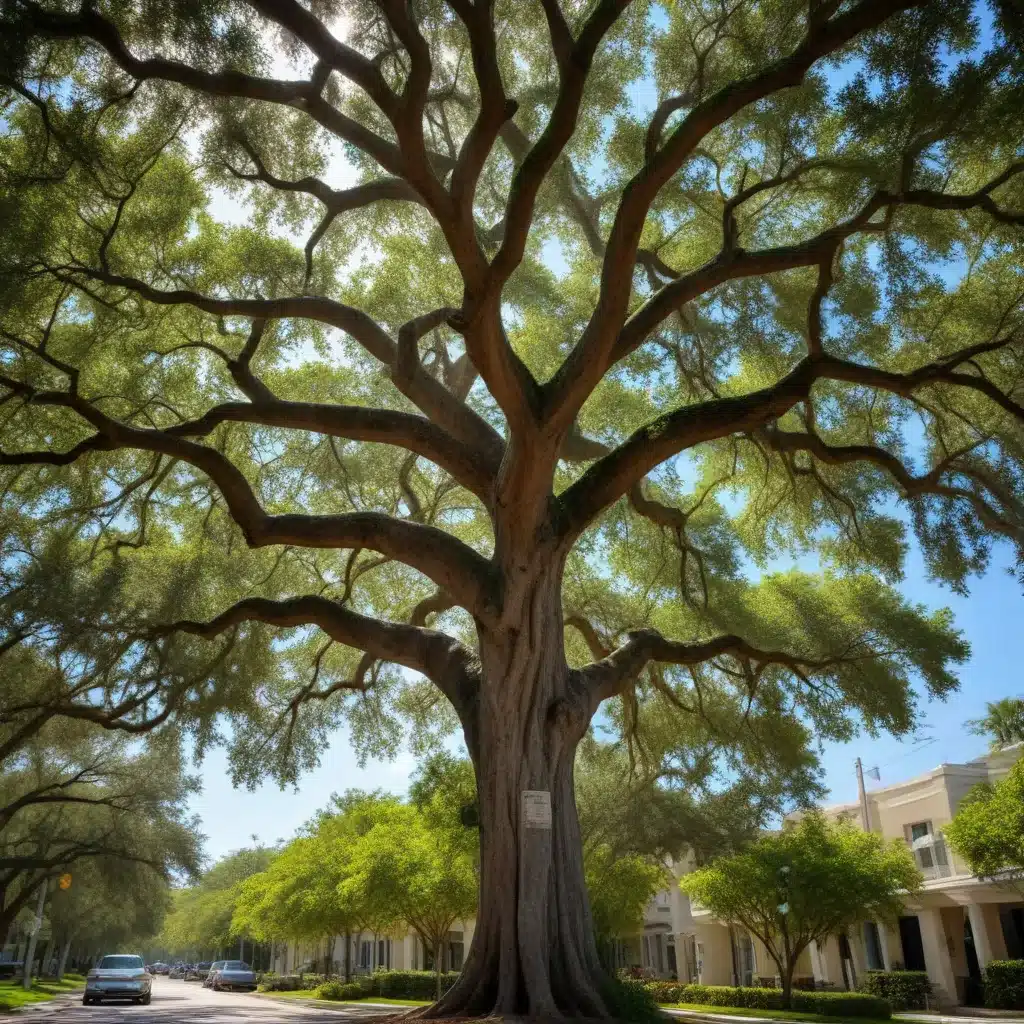 Preserving Florida’s Urban Canopy: Best Practices for Tree Conservation