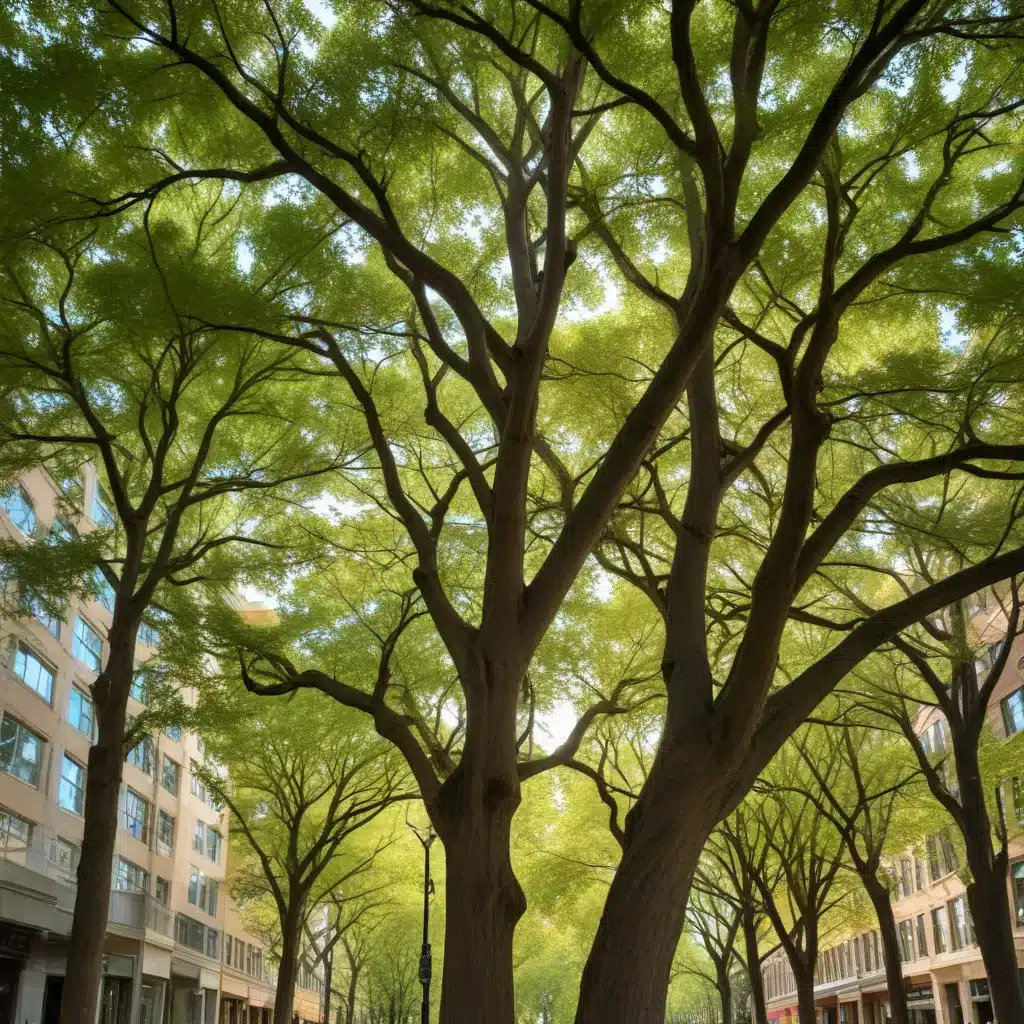 Preserving the Urban Forest: Strategies for Commercial Property Managers to Protect Tree Canopy