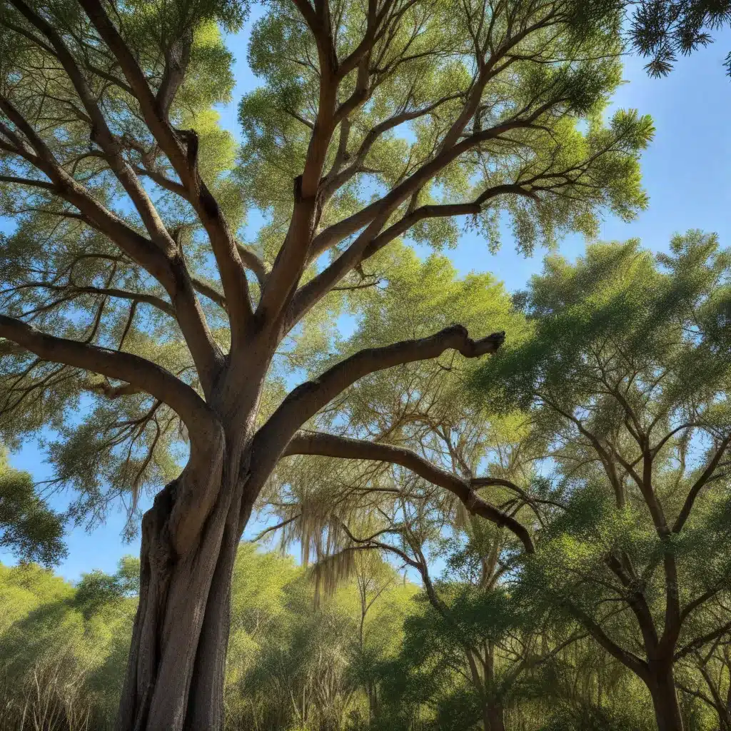 Promoting Biodiversity: The Role of Trees in Florida’s Urban Ecosystems