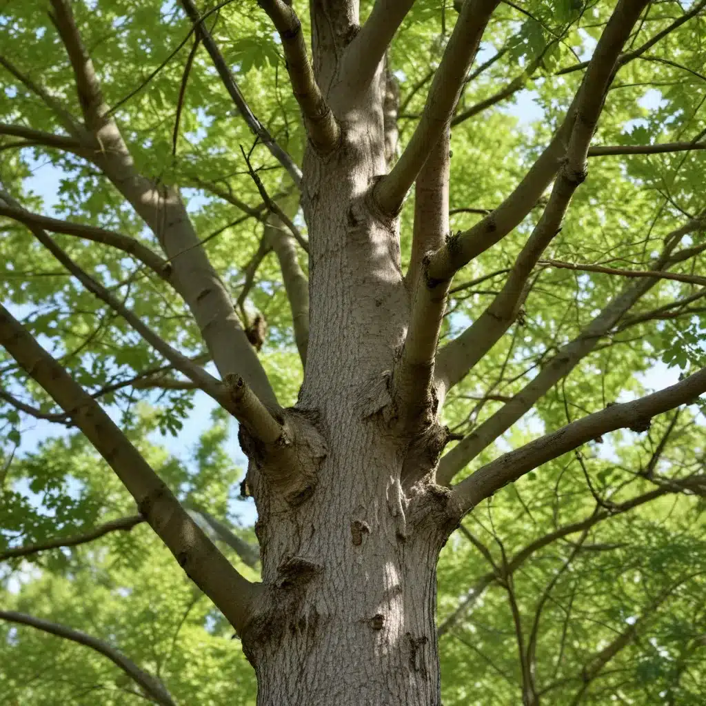 Protecting Your Investment: Identifying and Mitigating Common Tree Diseases and Pests