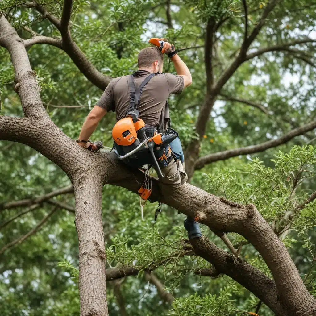 Protecting Your Property: Tree Trimming for Storm Preparedness in Florida
