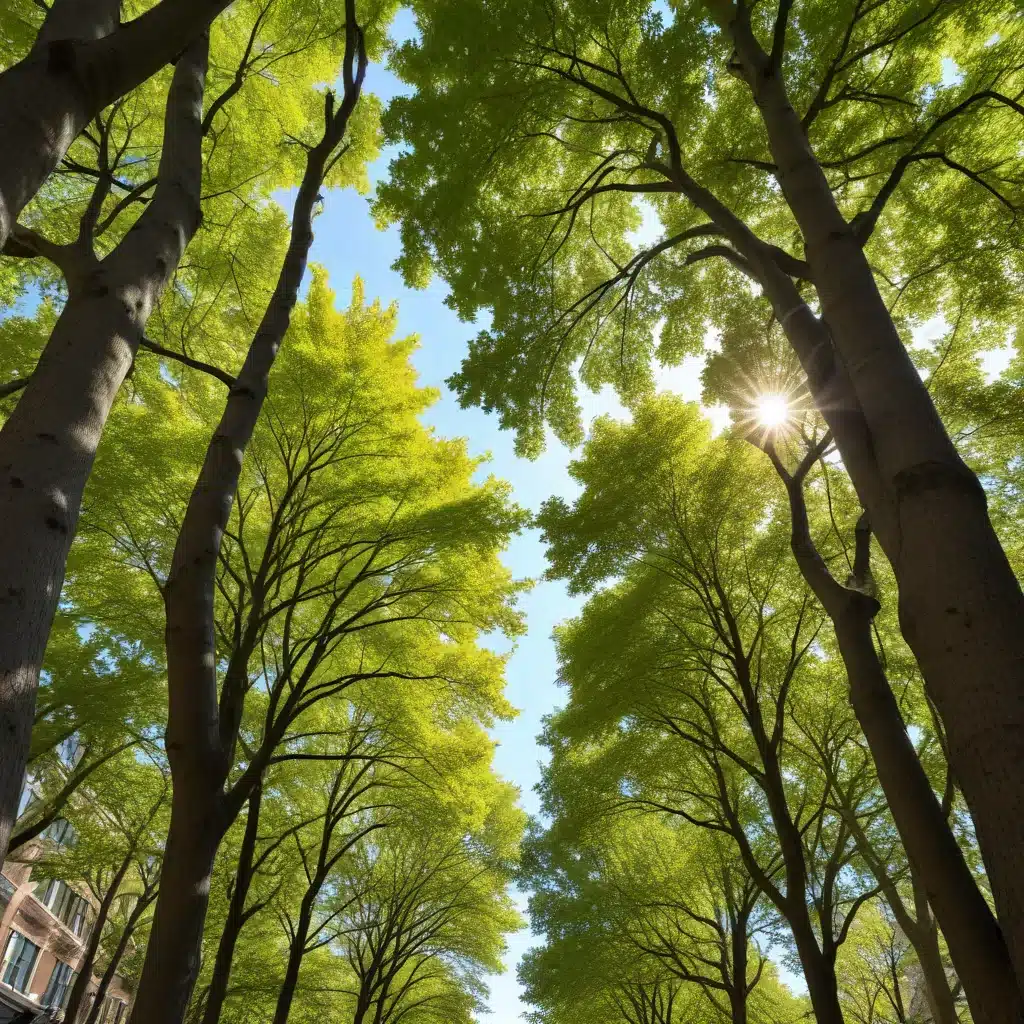 Protecting the Urban Forest: Strategies for Commercial Property Managers to Preserve Tree Canopy