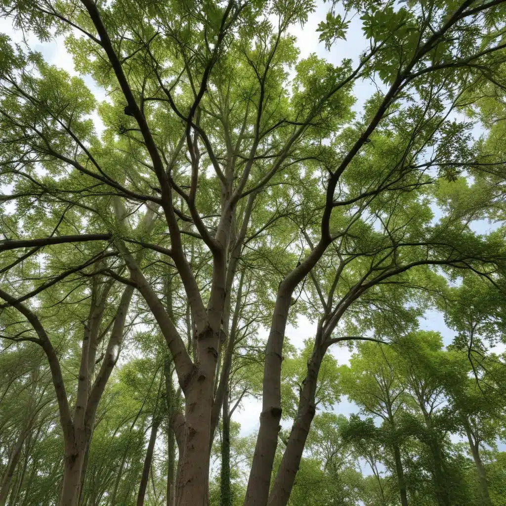 Restoring the Canopy: Replanting and Reviving Trees Following Extreme Weather Events