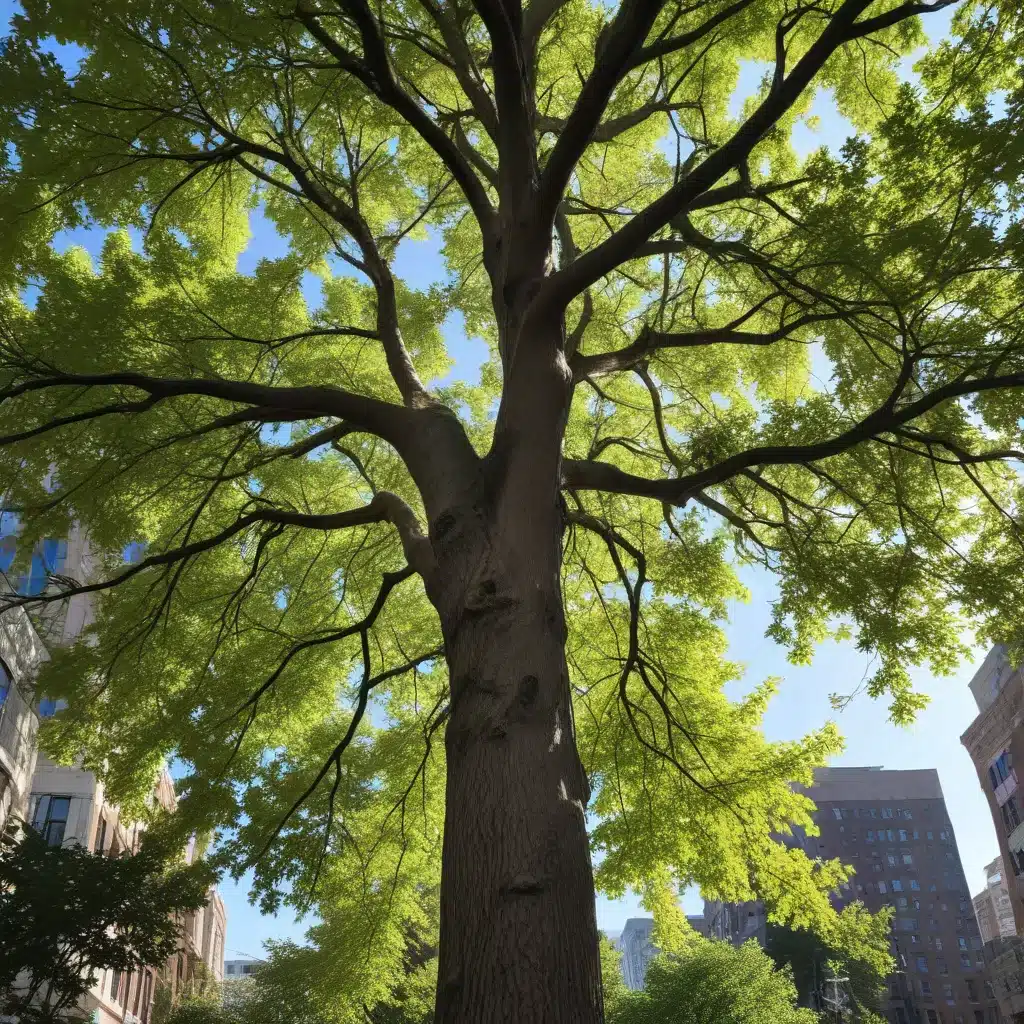Restoring the Urban Canopy: Tree Recovery and Replanting After a Major Storm
