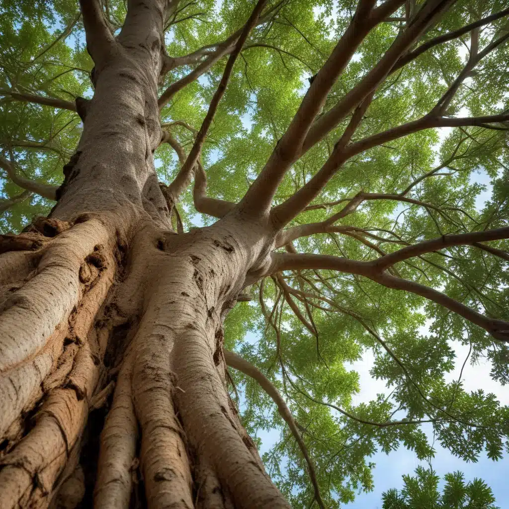 Roots, Shoots, and Regulations: Navigating Tree Removal Permits in Florida