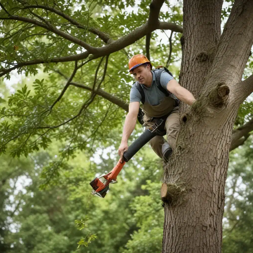 Seasonal Checklist: Essential Tasks for Keeping Your Trees Healthy Year-Round