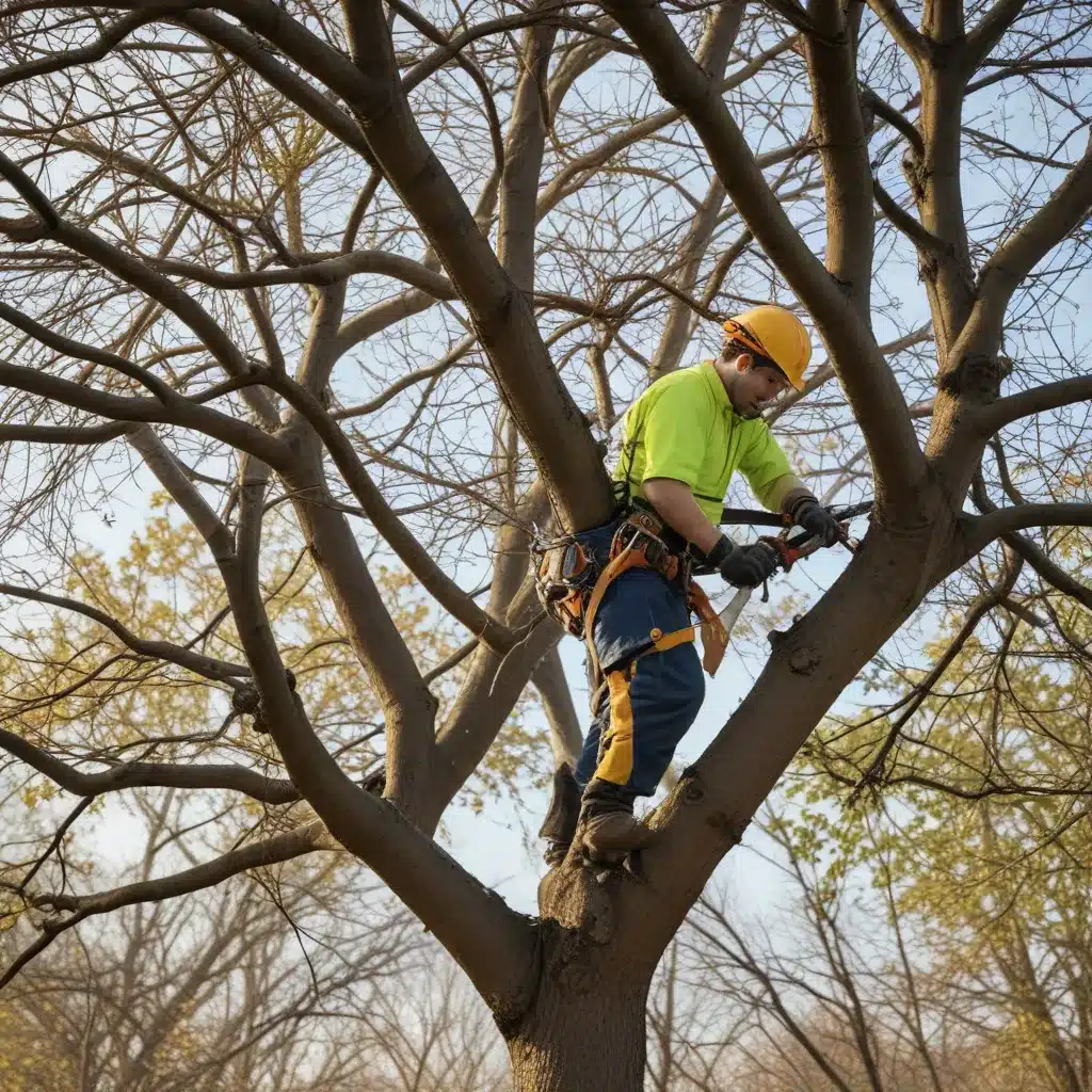 Seasonal Pruning: Timing It Right for Optimal Tree Health and Growth