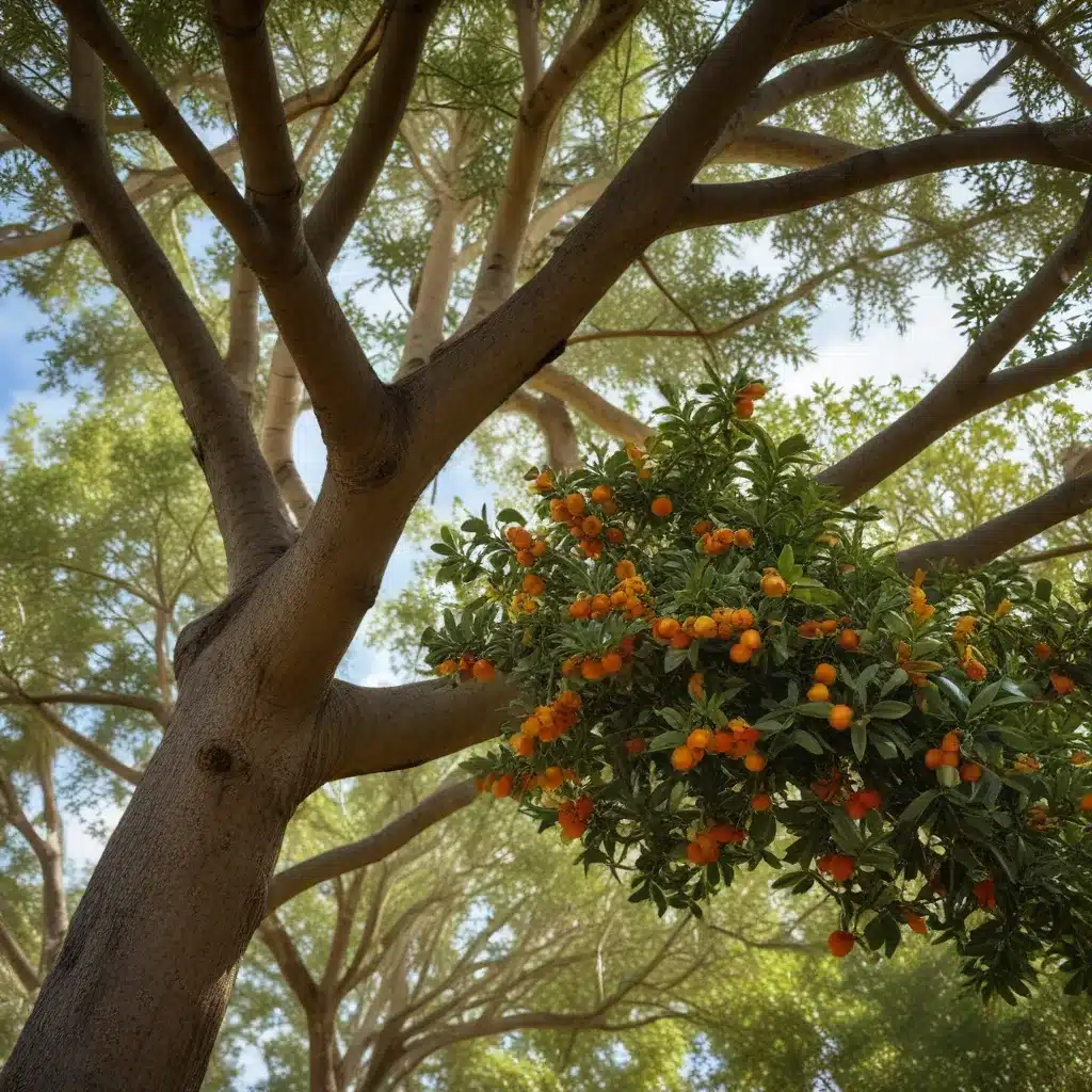 Seasonal Splendor: Preparing Your Trees for Florida’s Changing Conditions