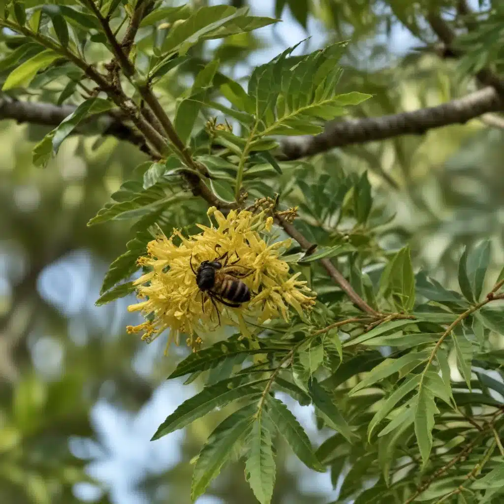 Supporting Florida’s Wildlife: Native Trees that Attract Pollinators