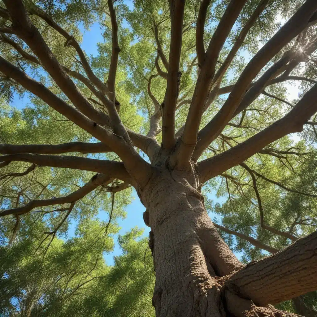 Sustainable Tree Care Practices for a Healthy Florida Landscape
