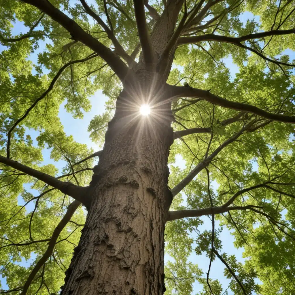 Sustainable Tree Care: Protecting the Environment One Canopy at a Time