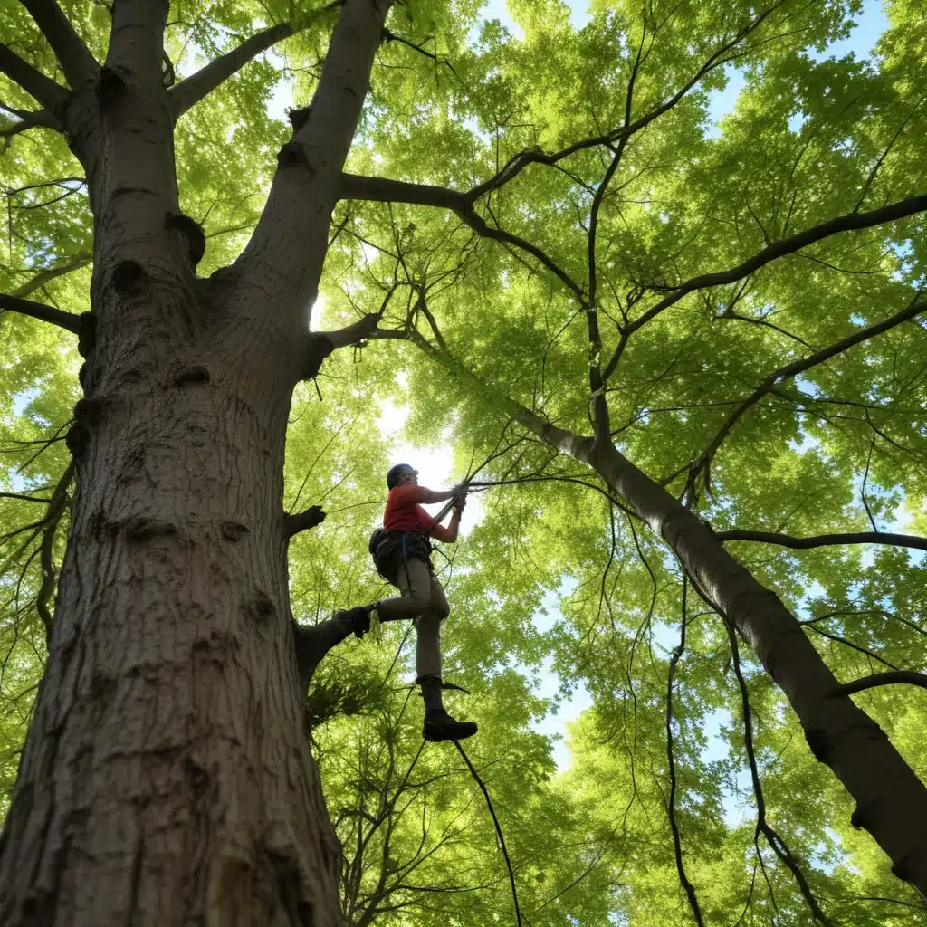 Tapping into Tree Triumphs: Celebrating the Benefits of Thoughtful Tree Stewardship