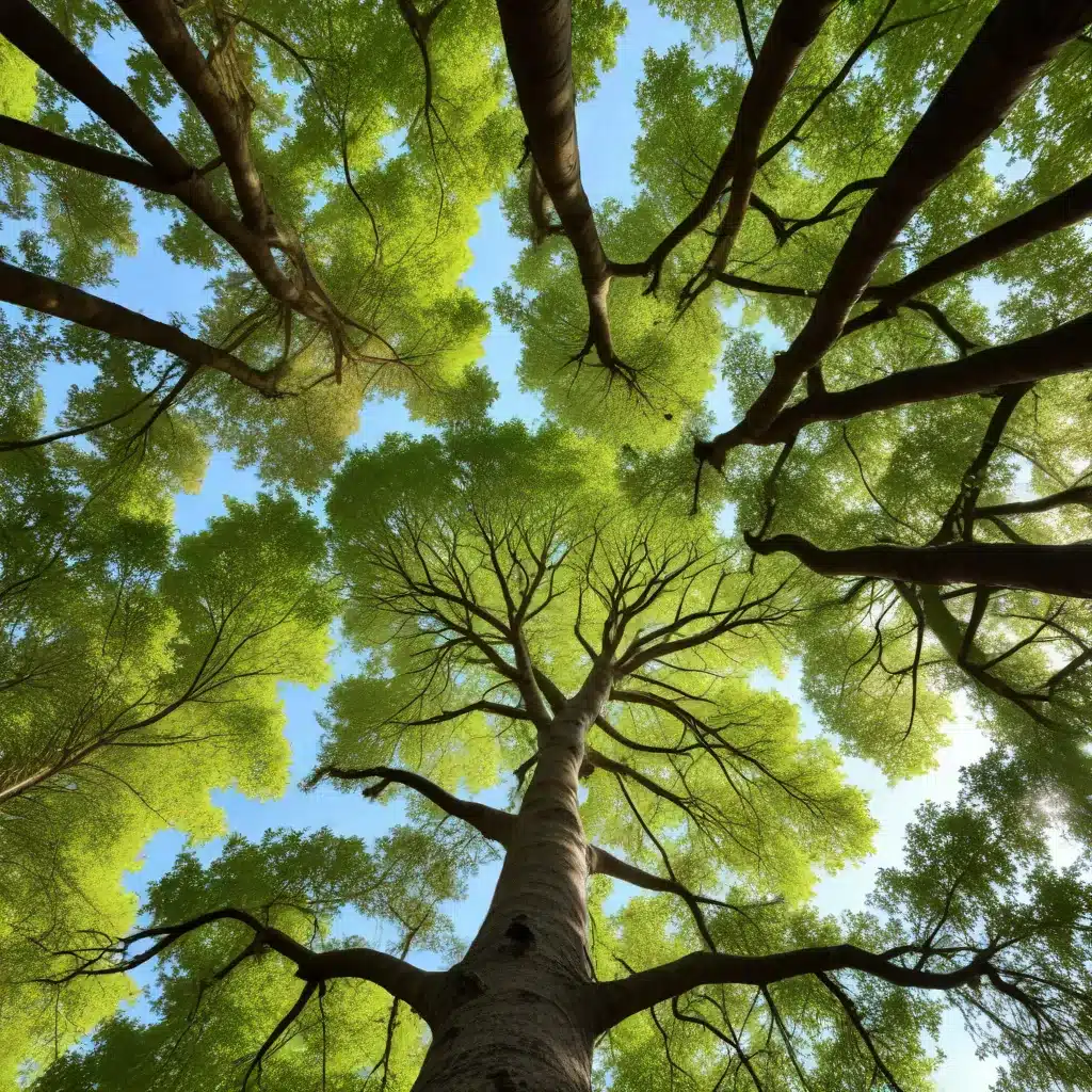 Tapping into the Mental and Physical Benefits of Trees: Enhancing Wellbeing