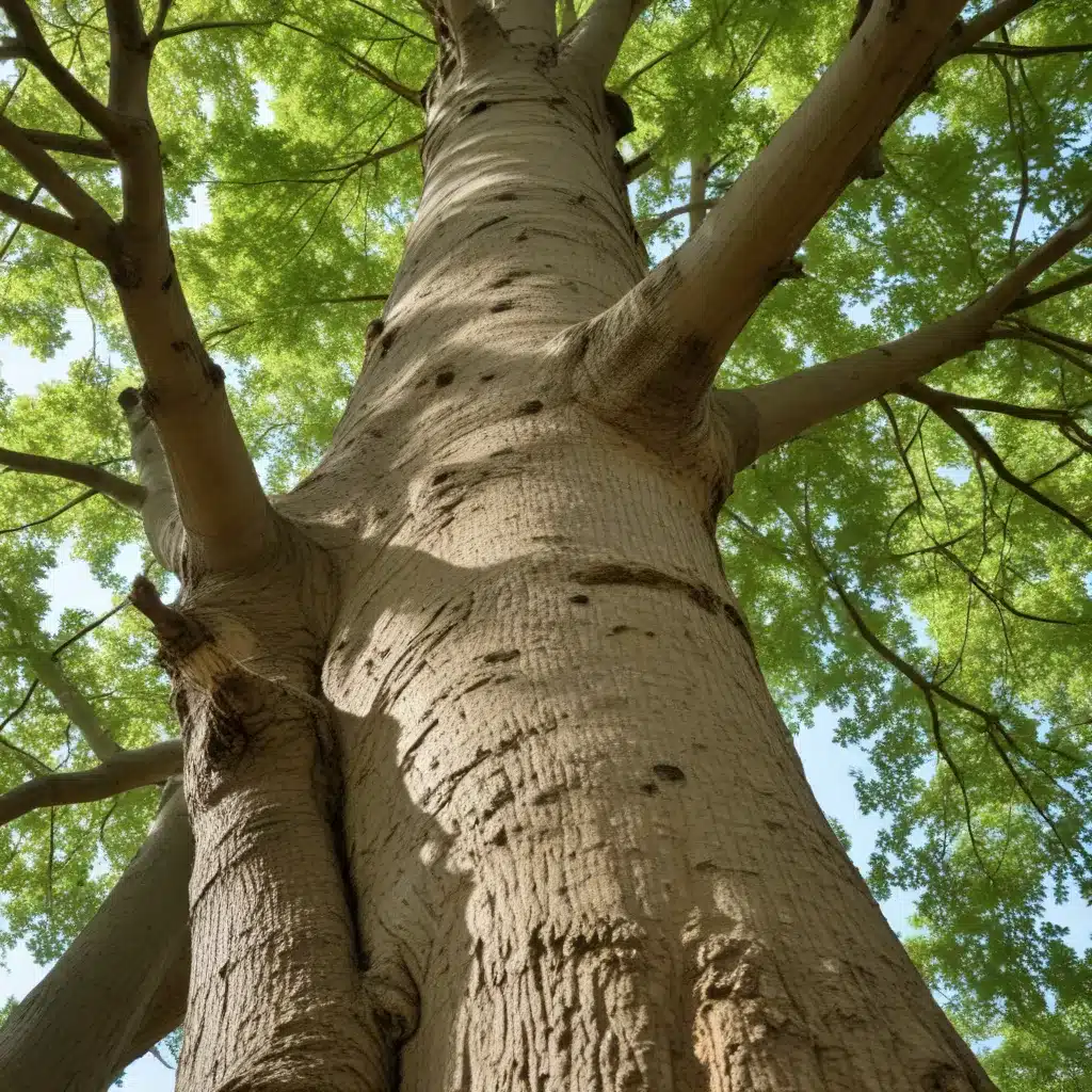 Tree Stewardship Programs: Empowering Communities to Care for Local Green Assets