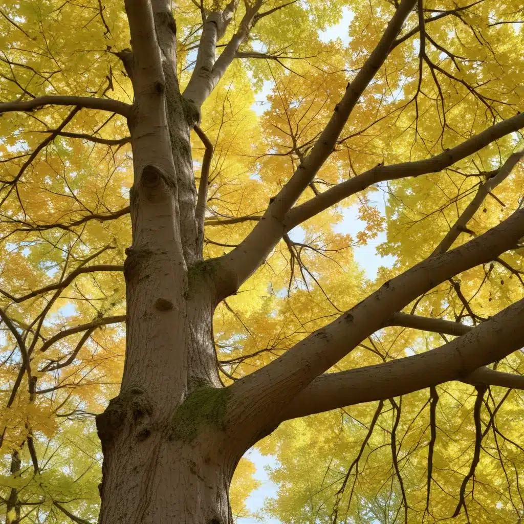 Uncovering the Secrets of Tree Phenology: Aligning Care with Seasonal Cues