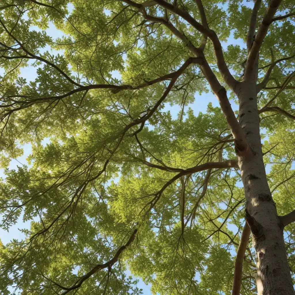 Unlocking the Potential of Native Trees: Enhancing Your Landscape’s Ecological Value