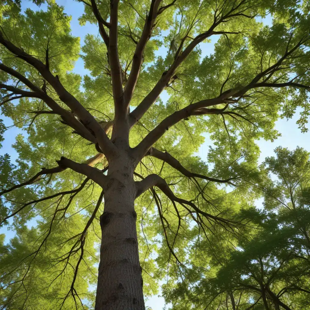 Unlocking the Power of Trees: Maximizing Ecosystem Services for Commercial Clients