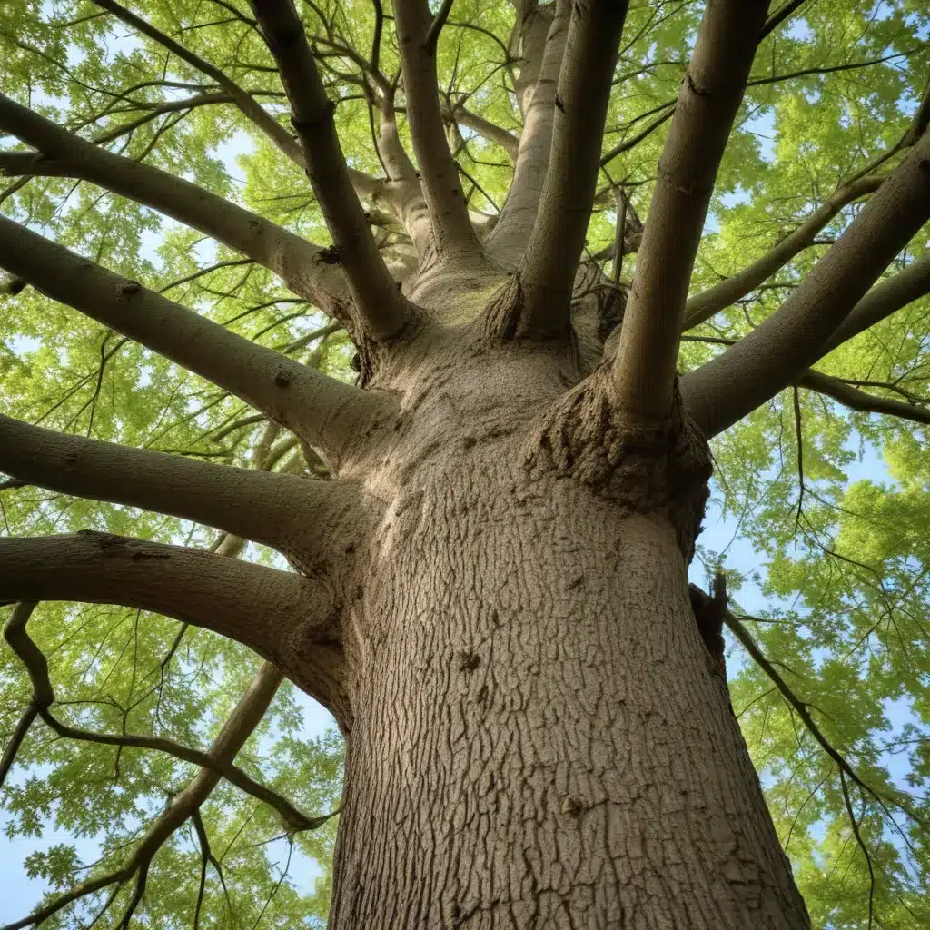 Unlocking the Secrets of Tree Care: Insider Tips for Healthy, Thriving Trees